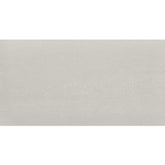 Daltile Fixture 24" X 48" Polished Glacier