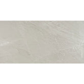 Daltile Vertuo 24" X 48" Matte Maestro