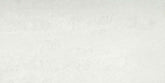 Emser Prodigy 12"x24" Matte Agnesi