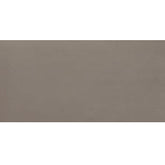 Daltile Fixture 12" X 24" Matte Soil