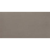 Daltile Fixture 24" X 48" Matte Soil