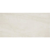 Daltile Wanderwise 12" X 24" Swan