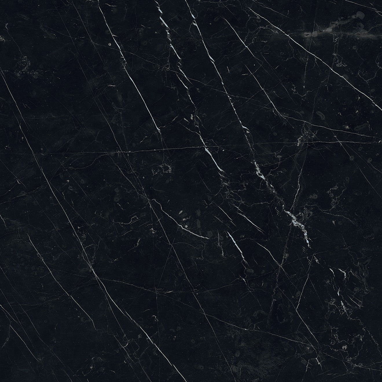 Bedrosians Magnifica The Thirties 30" x 30" Honed Nero Marquina