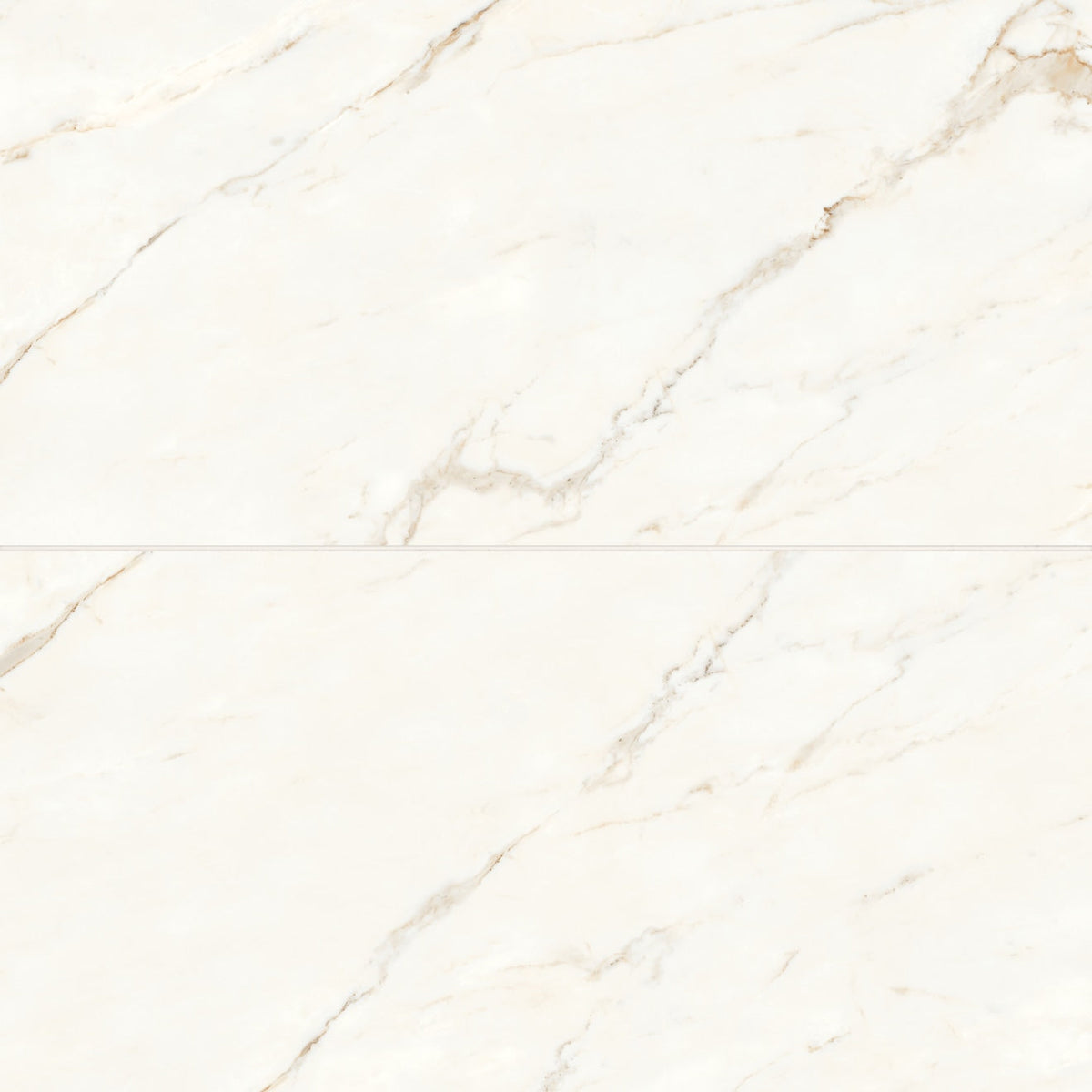 Bedrosians Magnifica 24" x 48" Honed Calacatta Oro