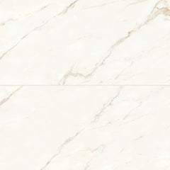 Bedrosians Magnifica 24" x 48" Honed Calacatta Oro
