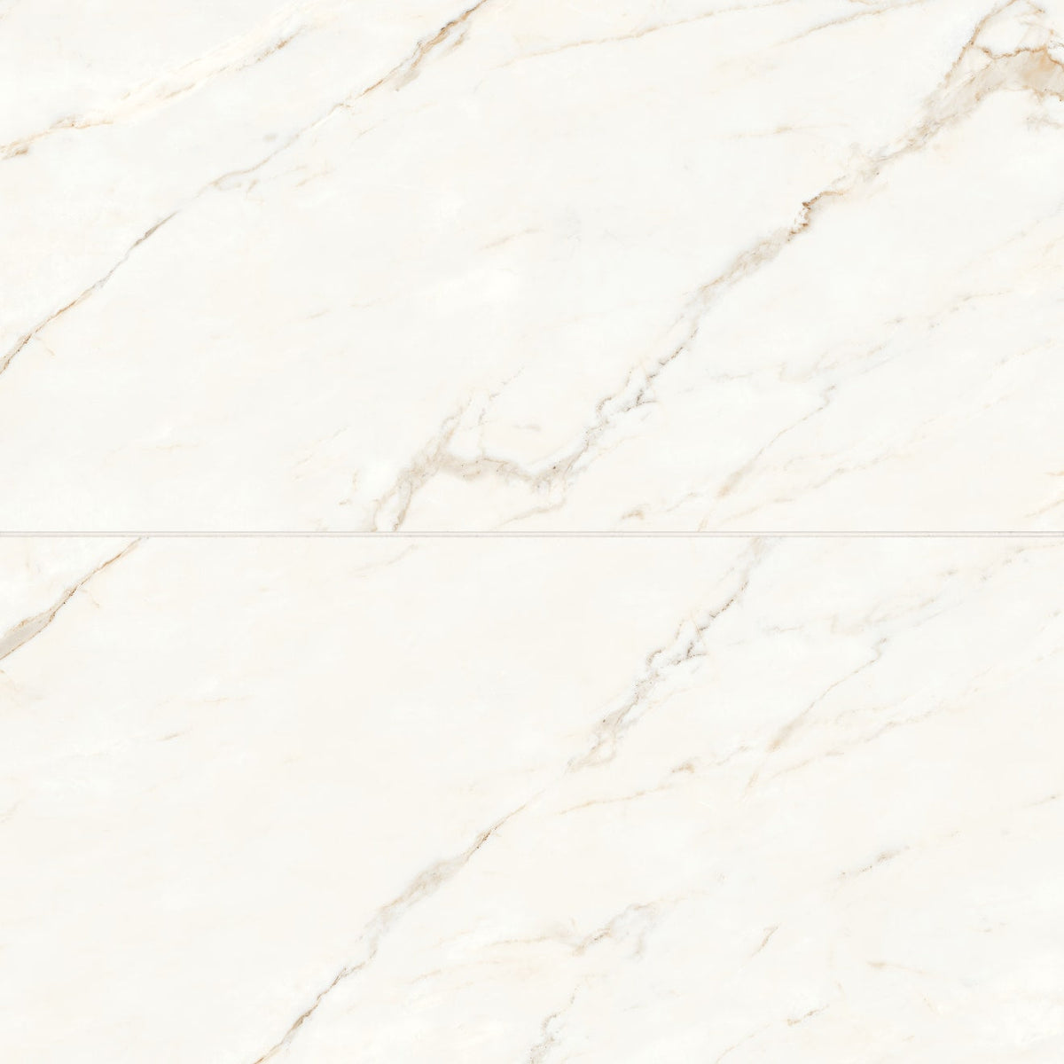 Bedrosians Magnifica 24" x 48" Polished Calacatta Oro