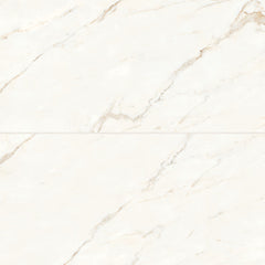 Bedrosians Magnifica 24" x 48" Polished Calacatta Oro