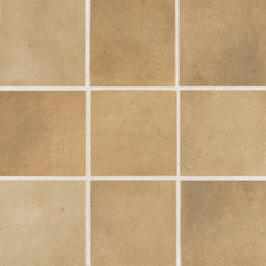 Bedrosians Celine 4" x 4" Matte Cotto