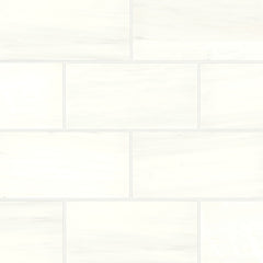 Bedrosians Marble 12" X 24" Honed Dolomite