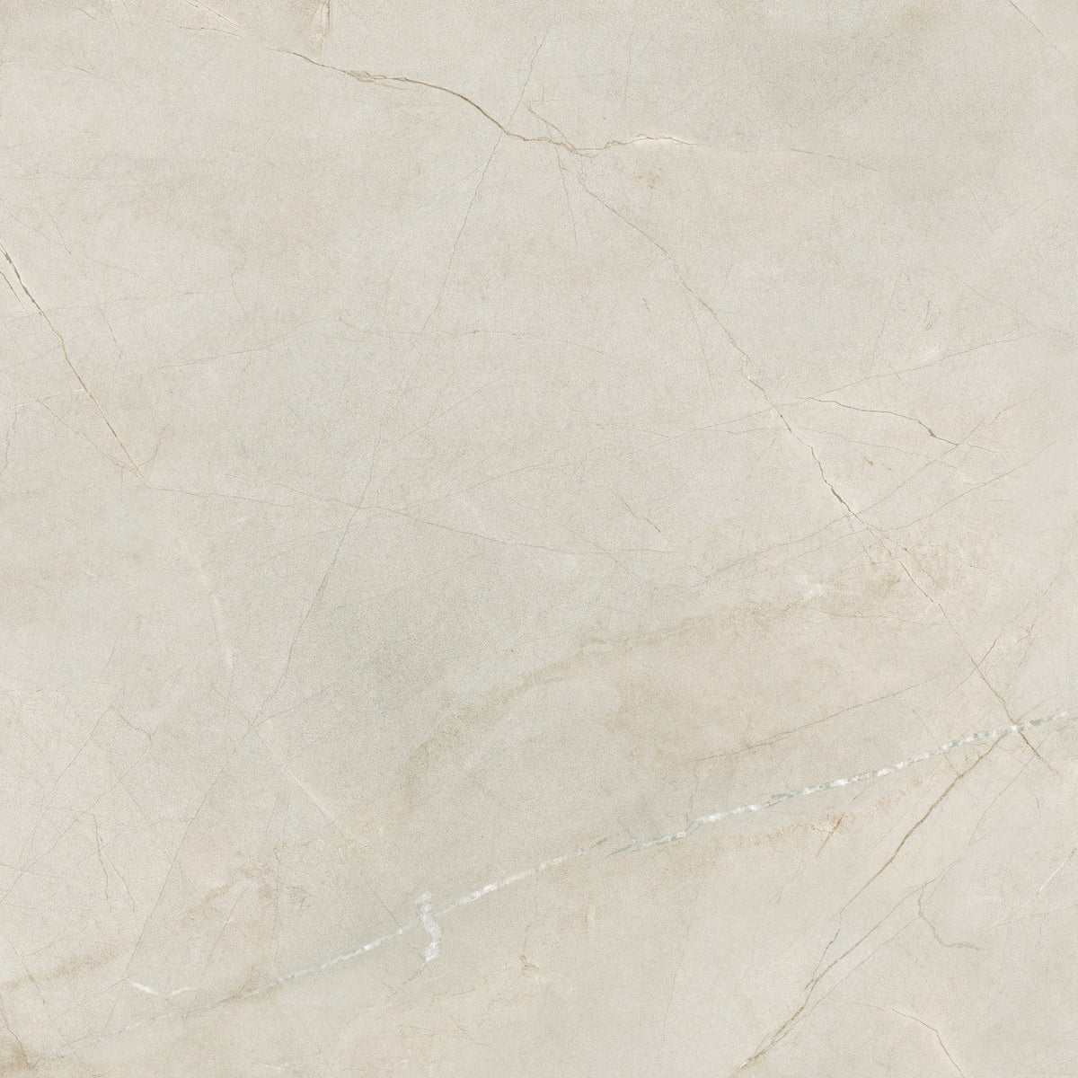 Bedrosians Crema Marfil 48" X 48" Polished Crema Marfil