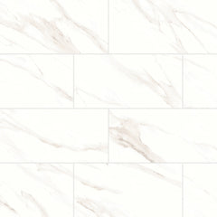 Bedrosians Shandar 12" X 24" Matte Statuario