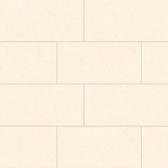 Bedrosians Shandar 12" X 24" Polished Crema Marfil Light