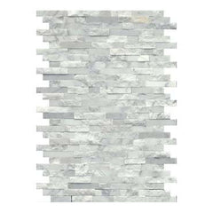 Emser Feature 12"x18" Mosaic White