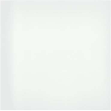 Emser Style II 24"x24" Polished Pure White