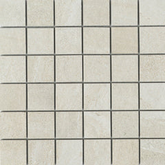 Emser Access II 12" X 12" 2" X 2" Path