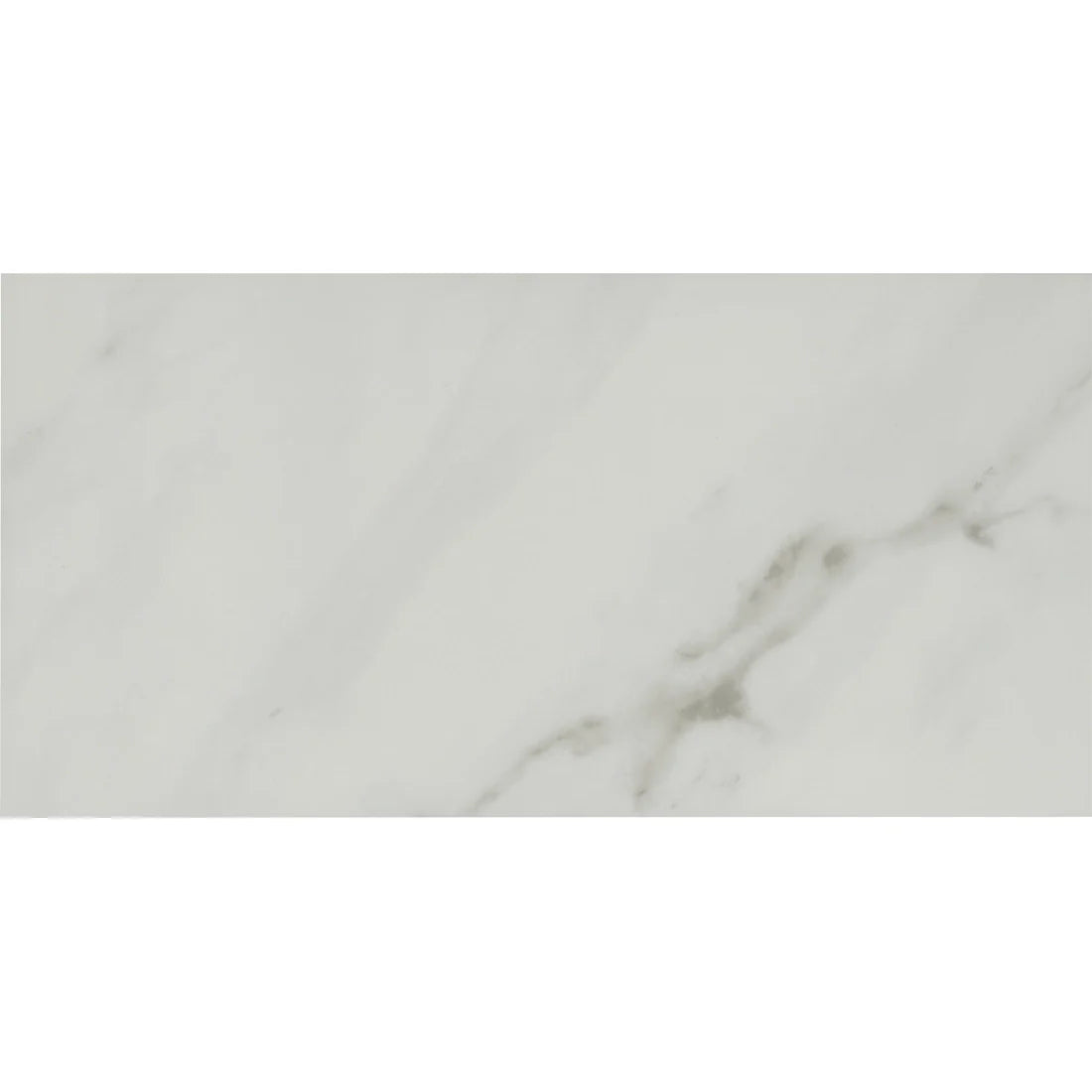 Tile Shop I Lenci 12x24 Polished White
