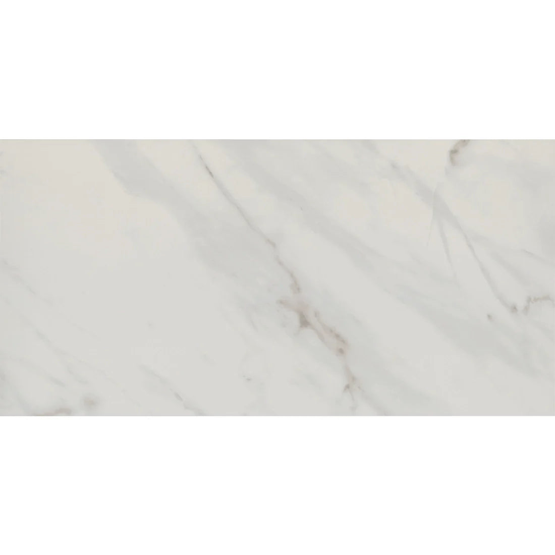 Tile Shop I Lenci 24x48 Polished White