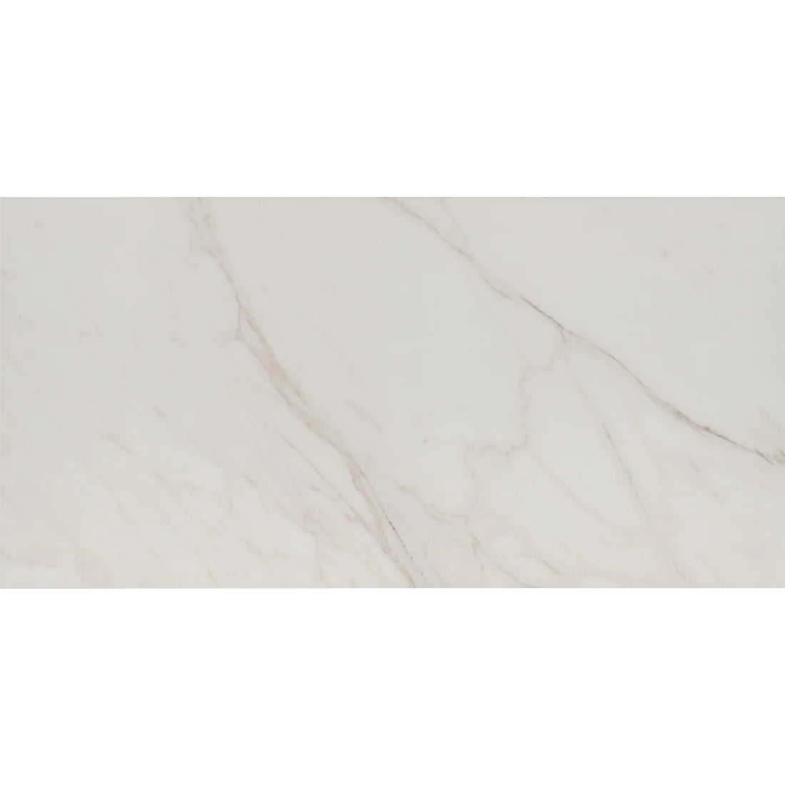 Tile Shop I Tresana 24x48 Matte White