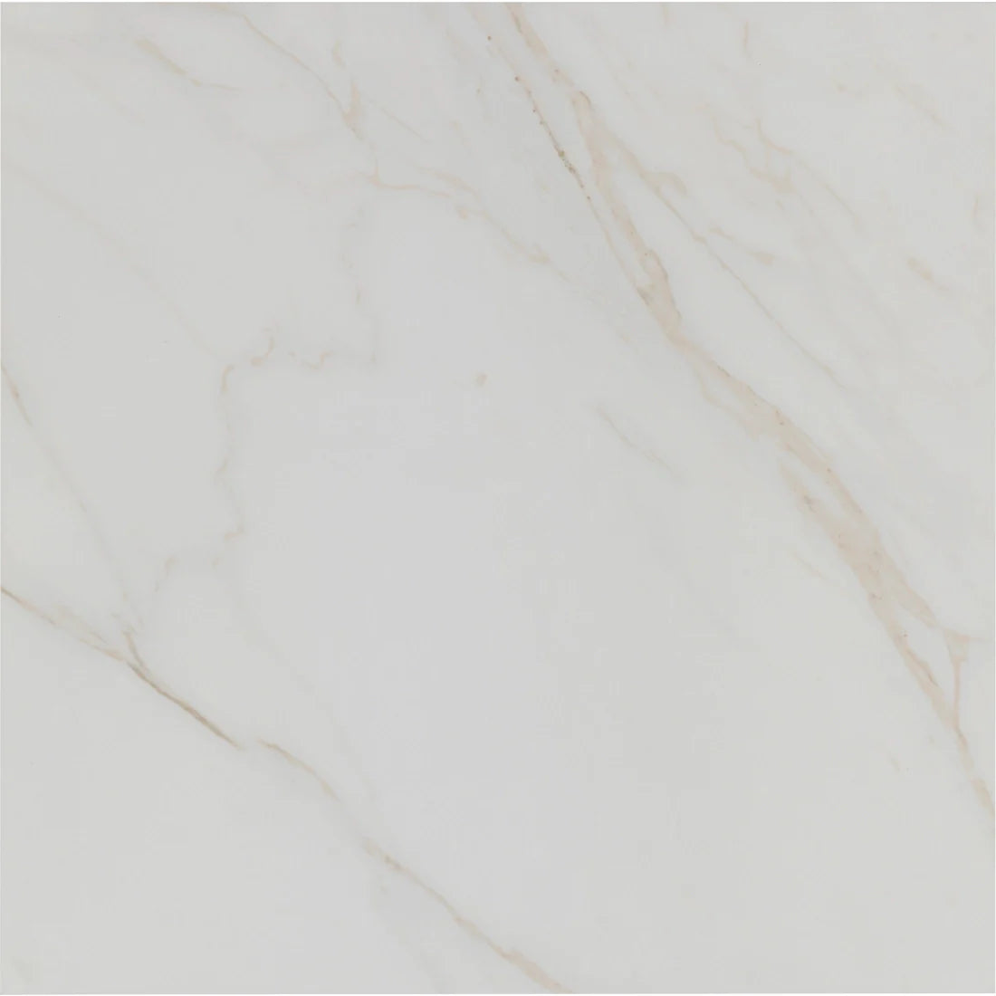 Tile Shop I Tresana 24x24 Polished White