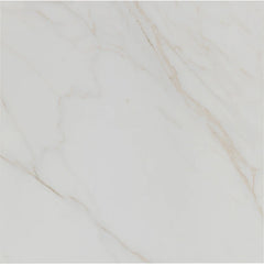 Tile Shop I Tresana 24x24 Polished White