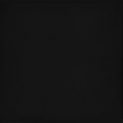 Emser Times Square 24"x24" Polished Black