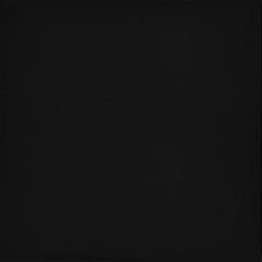 Emser Times Square 24"x24" Matte Black