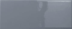 Emser Catch 4"x10" Polished Silicon Glossy
