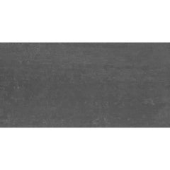 Daltile Fixture 24" X 48" Matte Coal