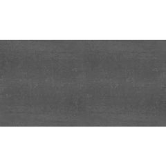 Daltile Fixture 24" X 48" Polished Coal