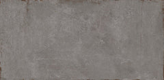 Emser Cogent 16"x31" Gray