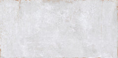 Emser Cogent 12"x24" Silver