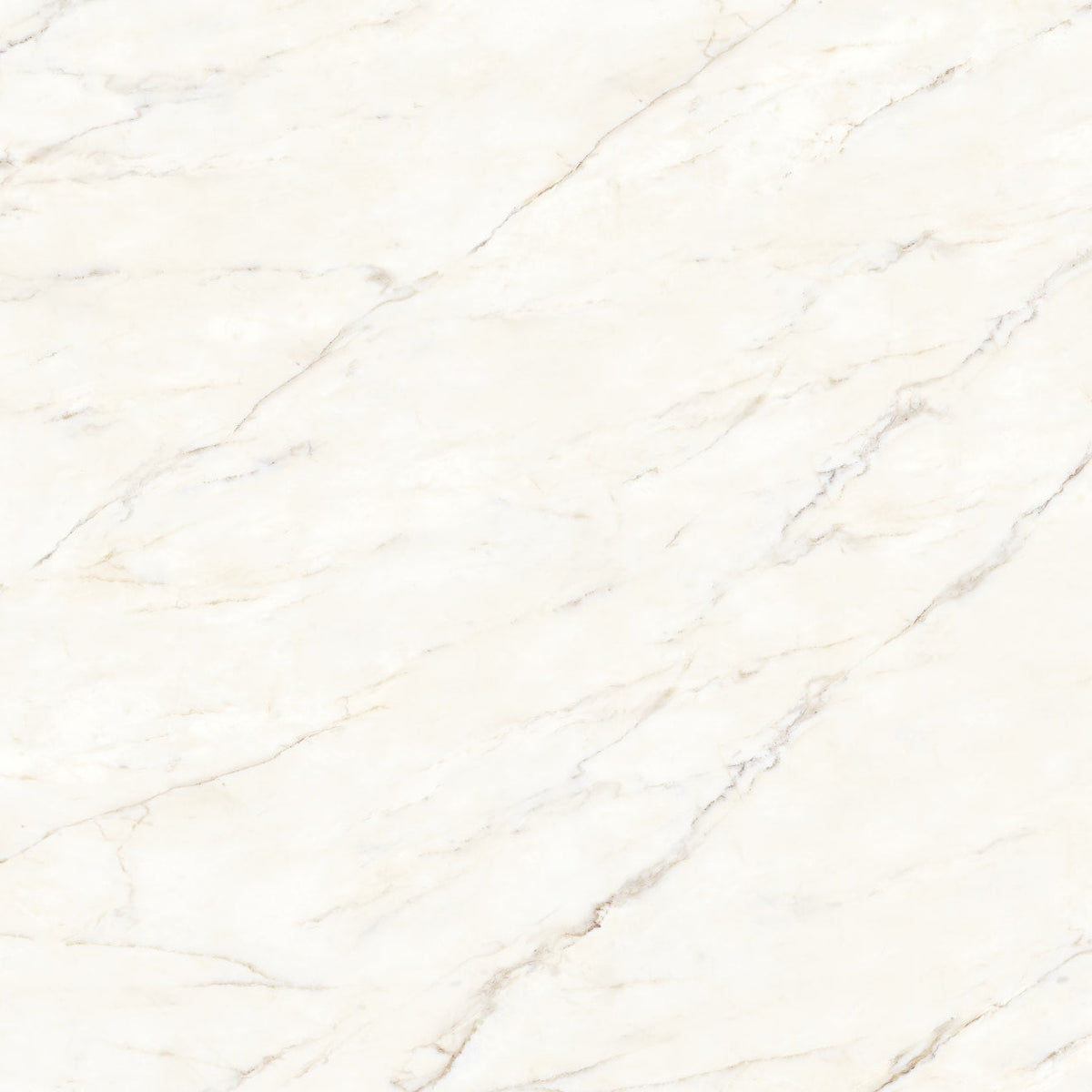 Bedrosians Magnifica The Thirties 30" x 30" Honed Calacatta Oro