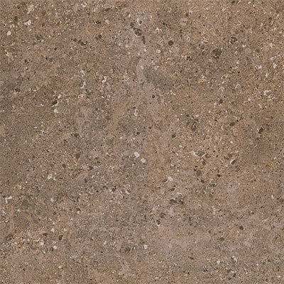 Daltile Dignitary 12" X 24" Light Polished Herald Brown