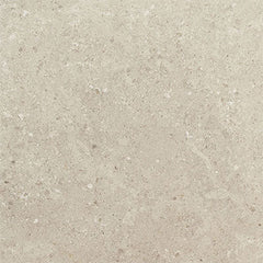 Daltile Dignitary 12" X 24" Light Polished Notable Beige