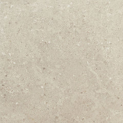Daltile Dignitary 24" X 24" Matte Notable Beige