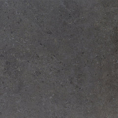 Daltile Dignitary 24" X 24" Matte Governor Black