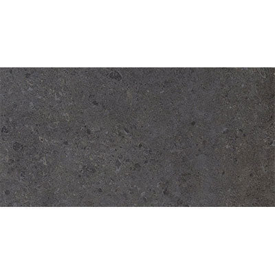 Daltile Dignitary 24" X 48" Matte Governor Black