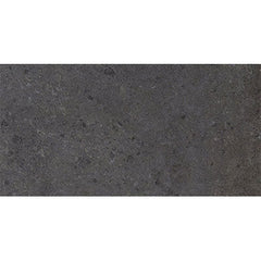 Daltile Dignitary 24" X 48" Matte Governor Black