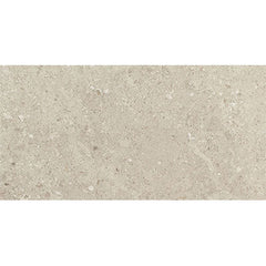 Daltile Dignitary 24" X 48" Matte Notable Beige