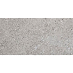 Daltile Dignitary 24" X 48" Matte Eminence Grey