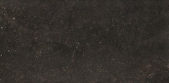 Daltile Diplomacy 20" X 40" Xterior Paver Dark Grey