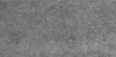 Daltile Diplomacy 20" X 40" Xterior Paver Light Grey