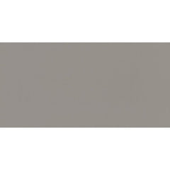Daltile Flat 12" X 24" Steel
