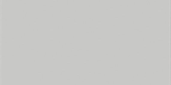 Daltile Vitruvian 4" X 16" Grey Matte