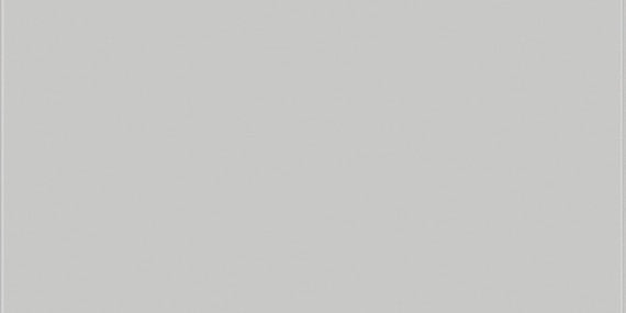 Daltile Vitruvian 4" X 16" Grey Glossy