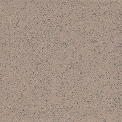 Emser E-Quarry 6" X 6" Abrasive Fog