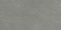 Emser Leeds 12"x24" Gray