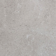 Daltile Dignitary 12" X 24" Light Polished Eminence Grey