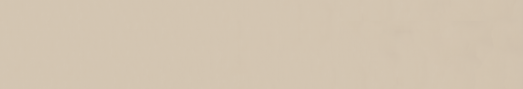 Emser Expanse 24" X 142" Matte Solo Beige