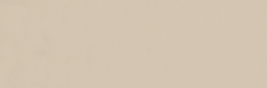 Emser Expanse 39" X 118" Matte Solo Beige